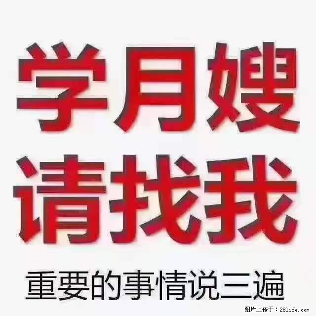 为什么要学习月嫂，育婴师？ - 其他广告 - 广告专区 - 克孜勒苏分类信息 - 克孜勒苏28生活网 kzls.28life.net