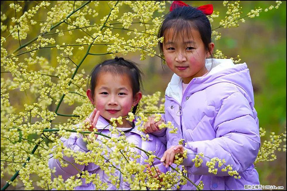 【春天，广西桂林灌阳县向您发出邀请！】米珠山前有片山苍子花在飘香 - 游山玩水 - 克孜勒苏生活社区 - 克孜勒苏28生活网 kzls.28life.net