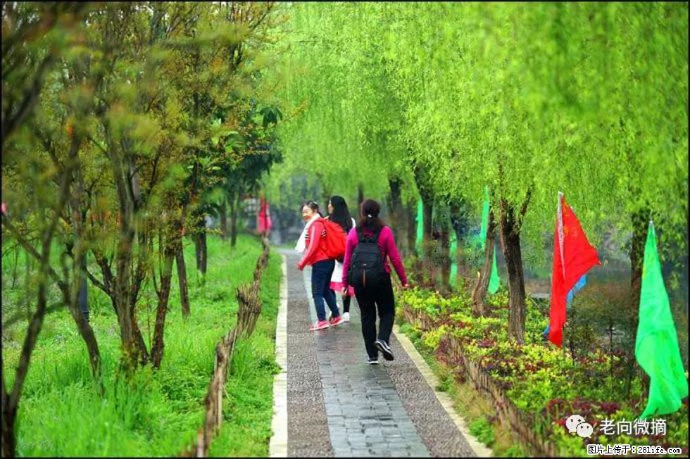 【春天，广西桂林灌阳县向您发出邀请！】江口老街又逢春 - 游山玩水 - 克孜勒苏生活社区 - 克孜勒苏28生活网 kzls.28life.net