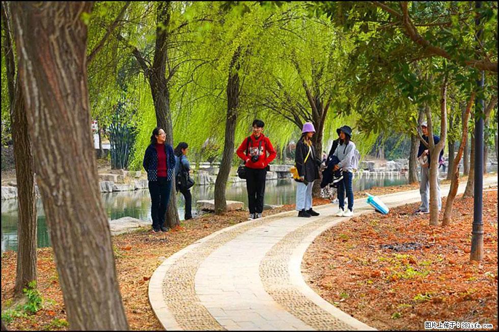 【春天，广西桂林灌阳县向您发出邀请！】江口老街又逢春 - 游山玩水 - 克孜勒苏生活社区 - 克孜勒苏28生活网 kzls.28life.net