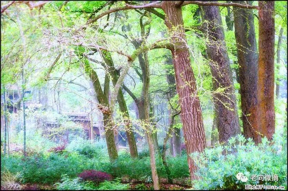 【春天，广西桂林灌阳县向您发出邀请！】在小龙村与春天约会 - 游山玩水 - 克孜勒苏生活社区 - 克孜勒苏28生活网 kzls.28life.net