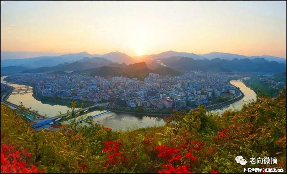【春天，广西桂林灌阳县向您发出邀请！】登麒麟山，相约映山红 - 游山玩水 - 克孜勒苏生活社区 - 克孜勒苏28生活网 kzls.28life.net