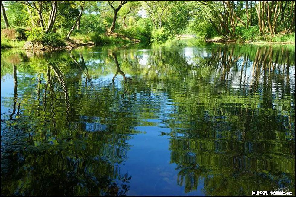 【春天，广西桂林灌阳县向您发出邀请！】熊家寨湿地公园 - 游山玩水 - 克孜勒苏生活社区 - 克孜勒苏28生活网 kzls.28life.net