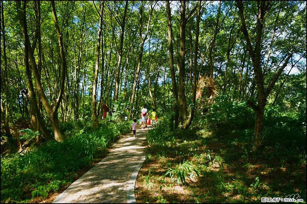 【春天，广西桂林灌阳县向您发出邀请！】熊家寨湿地公园 - 游山玩水 - 克孜勒苏生活社区 - 克孜勒苏28生活网 kzls.28life.net
