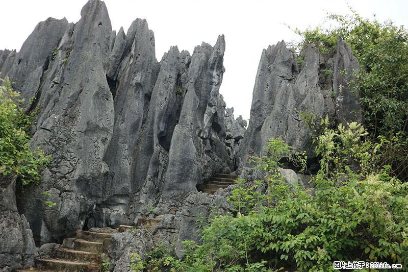 桂林旅游名城景点：灌阳文市石林 - 游山玩水 - 克孜勒苏生活社区 - 克孜勒苏28生活网 kzls.28life.net