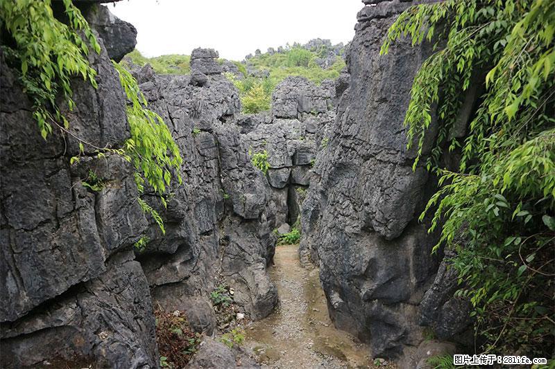 桂林旅游名城景点：灌阳文市石林 - 游山玩水 - 克孜勒苏生活社区 - 克孜勒苏28生活网 kzls.28life.net