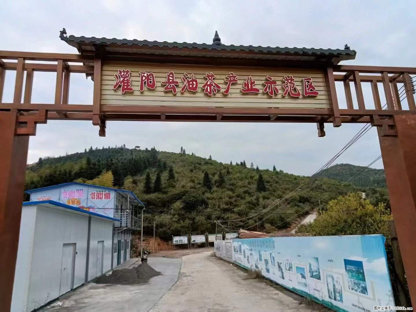 【灌阳县油茶产业示范区】一个有着充实的精神生活的人，对待身外之物自会有一种淡泊的态度 - 美食天地 - 克孜勒苏生活社区 - 克孜勒苏28生活网 kzls.28life.net