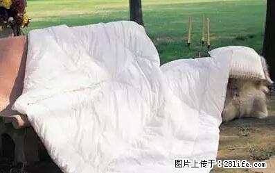 被子有异味?只要这样做,比晒太阳还强100倍! - 家居生活 - 克孜勒苏生活社区 - 克孜勒苏28生活网 kzls.28life.net