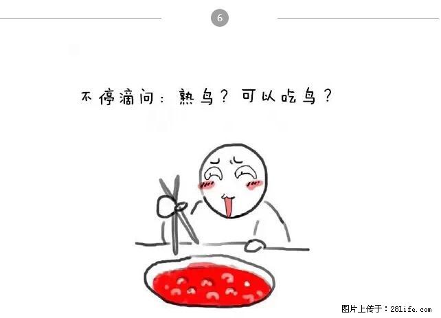 千万不要和这9种哈卵一起吃火锅！ - 美食天地 - 克孜勒苏生活社区 - 克孜勒苏28生活网 kzls.28life.net