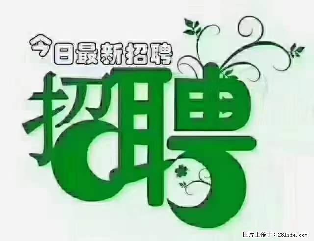 上海隔离酒店招人：55岁以下 男女不限 - 职场交流 - 克孜勒苏生活社区 - 克孜勒苏28生活网 kzls.28life.net