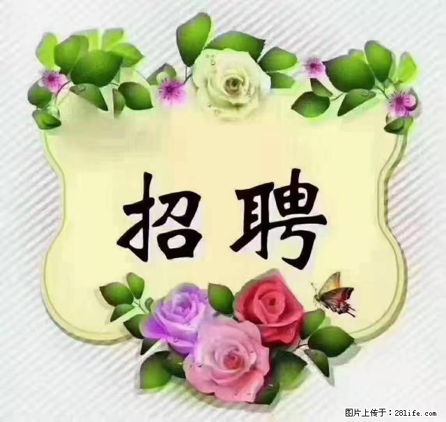 【招聘】住家育儿嫂，上户日期：4月4日，工作地址：上海 黄浦区 - 职场交流 - 克孜勒苏生活社区 - 克孜勒苏28生活网 kzls.28life.net