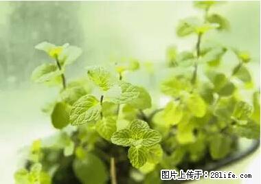 晕车、脚气、牙齿变黄、皮肤粗糙？学会这些三分钟搞定！ - 克孜勒苏生活资讯 - 克孜勒苏28生活网 kzls.28life.net