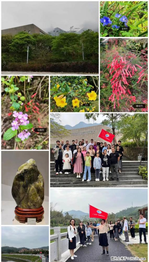 “粤灌文化 美好生活”油茶文化主题活动在广东深圳成功举办 - 克孜勒苏生活资讯 - 克孜勒苏28生活网 kzls.28life.net