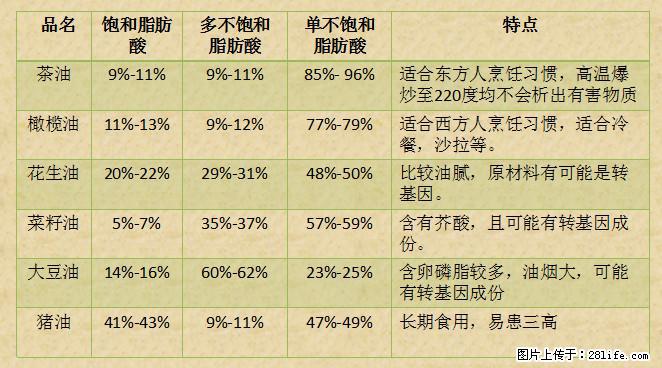 揭秘茶油的5大核心营养成分！被称为人体健康的“守护盾”！ - 克孜勒苏生活资讯 - 克孜勒苏28生活网 kzls.28life.net