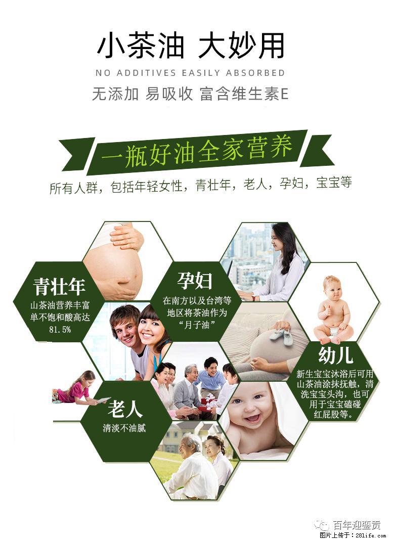 世界没有真相，只有认知，最好的食用油是中国的山茶油！ - 克孜勒苏生活资讯 - 克孜勒苏28生活网 kzls.28life.net