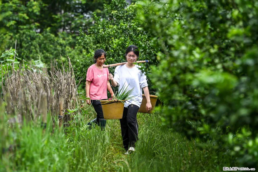 全网追的“扁担女孩”，找了一份暑假工，时薪12元 - 克孜勒苏生活资讯 - 克孜勒苏28生活网 kzls.28life.net