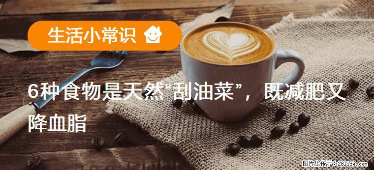 【生活小常识】6种食物是天然“刮油菜”，既减肥又降血脂 - 克孜勒苏生活资讯 - 克孜勒苏28生活网 kzls.28life.net