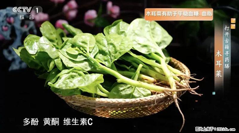 比牛奶补钙还厉害！凉血解毒、稳血糖...这菜冬天必吃，很多人却当草 - 克孜勒苏生活资讯 - 克孜勒苏28生活网 kzls.28life.net